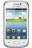 Samsung Galaxy Young (GT-S6310)