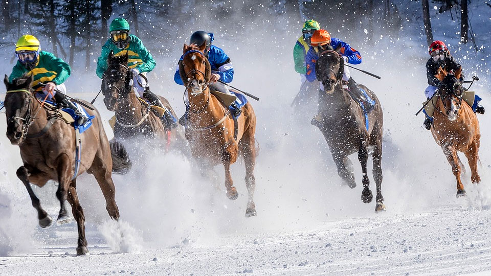 horse racing in the snow