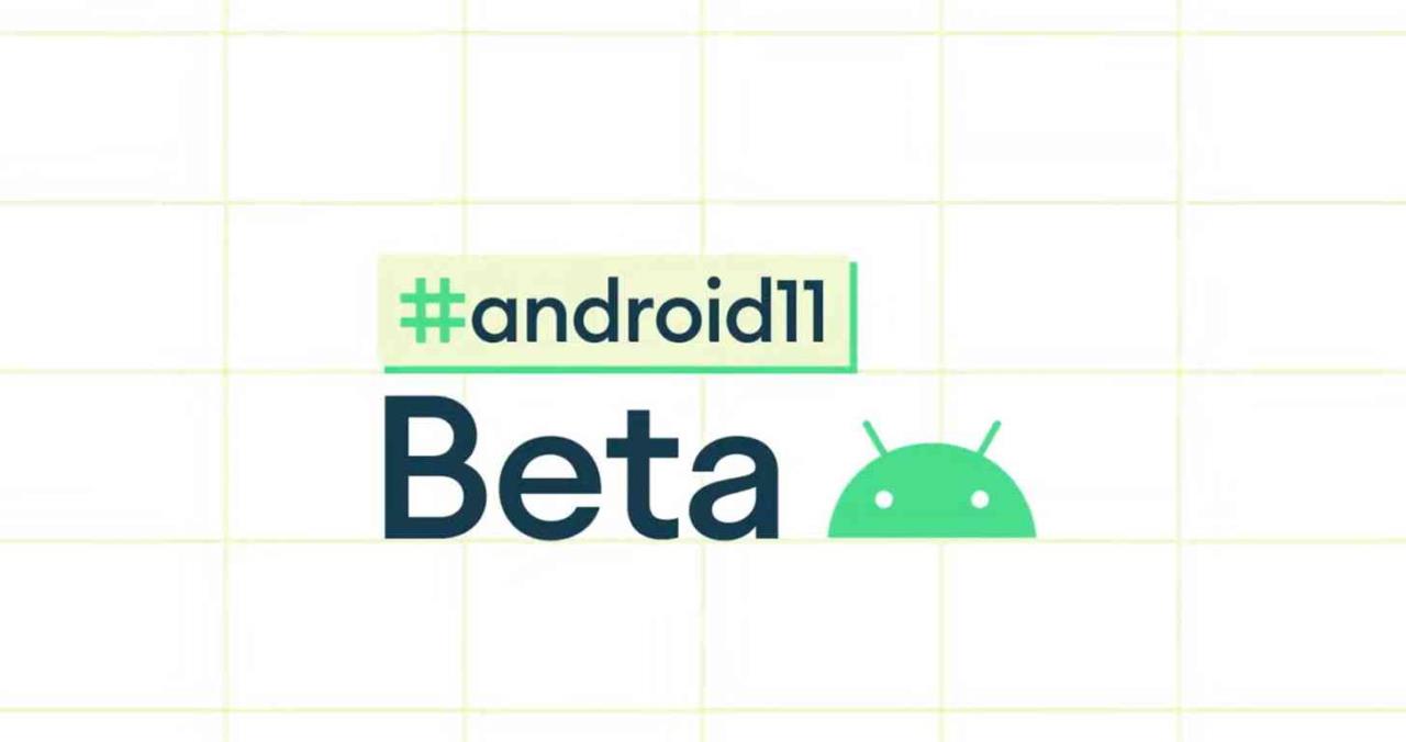 os google android 11 beta logo