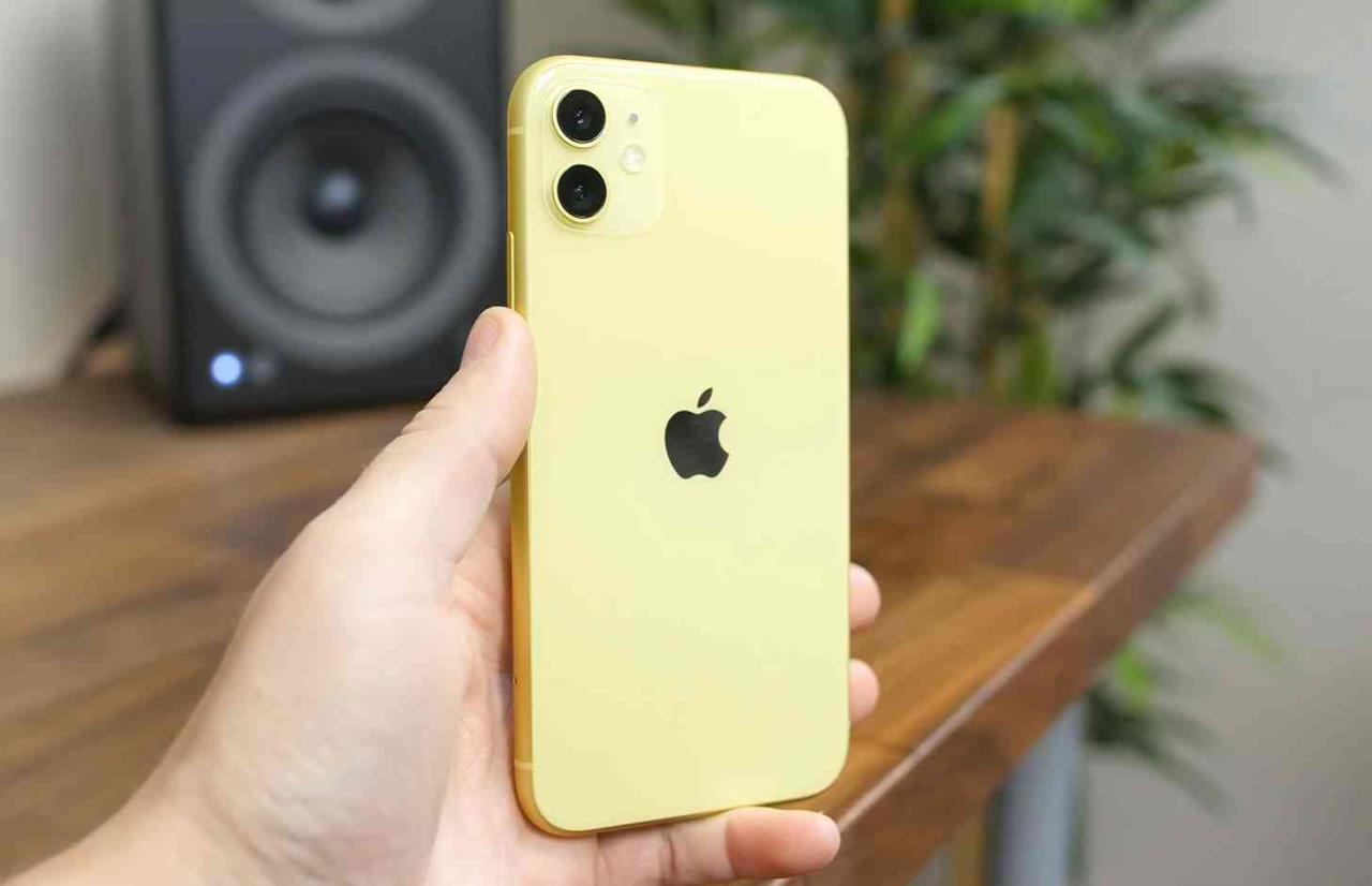 apple iphone 11 nas mãos