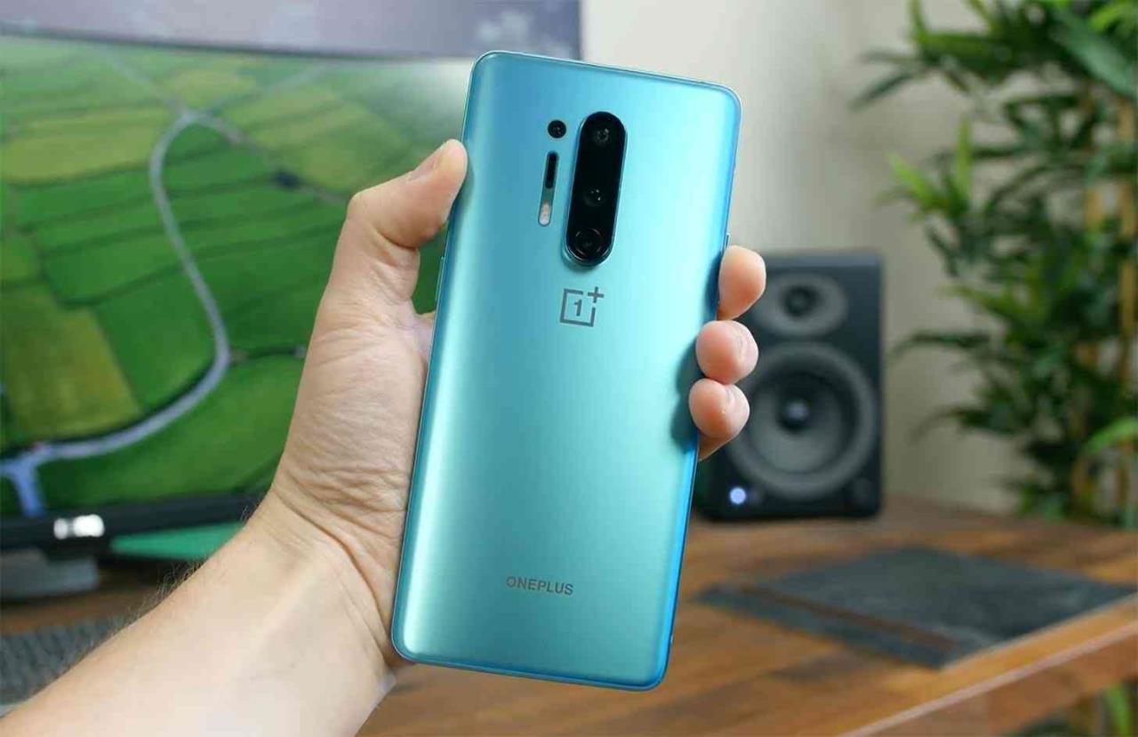 oneplus 8 pro na mão
