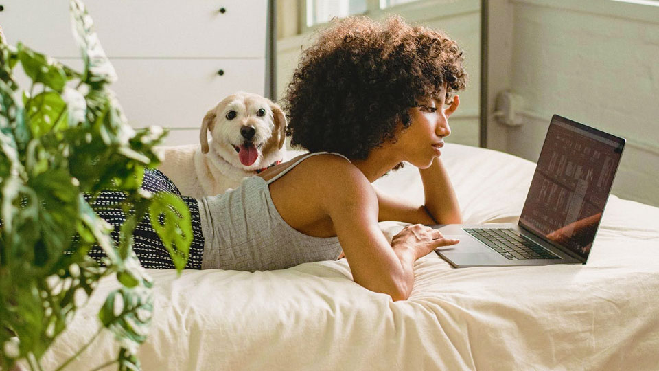 woman looking at laptop lying on the bed with a dog