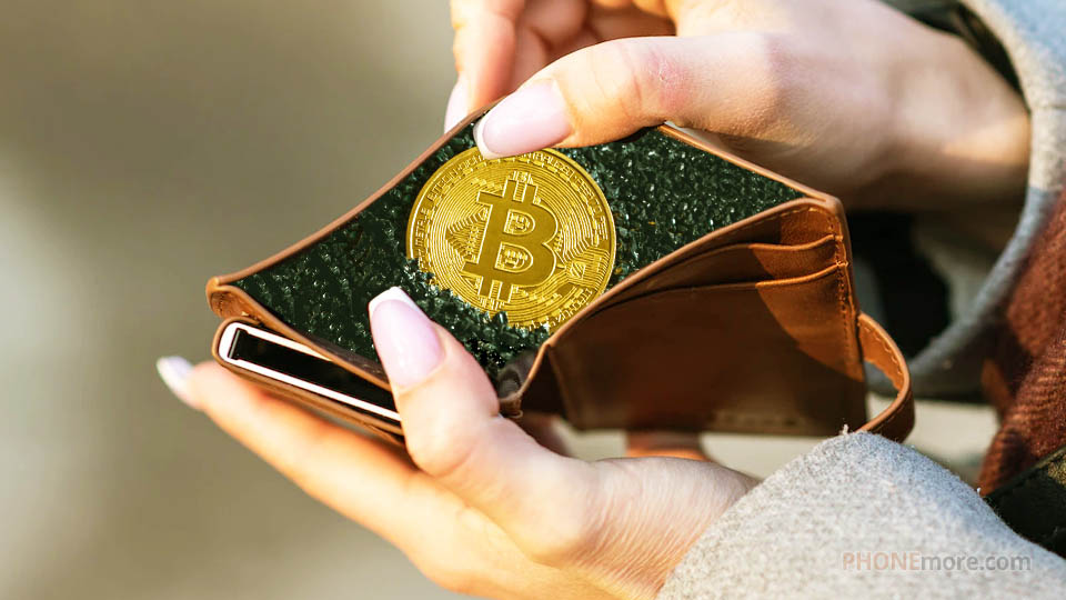 a wallet with a bitcoin inside