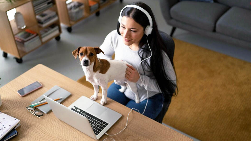una mujer teletrabajando en casa con su perro en una mesa con ordenador portátil y móvil