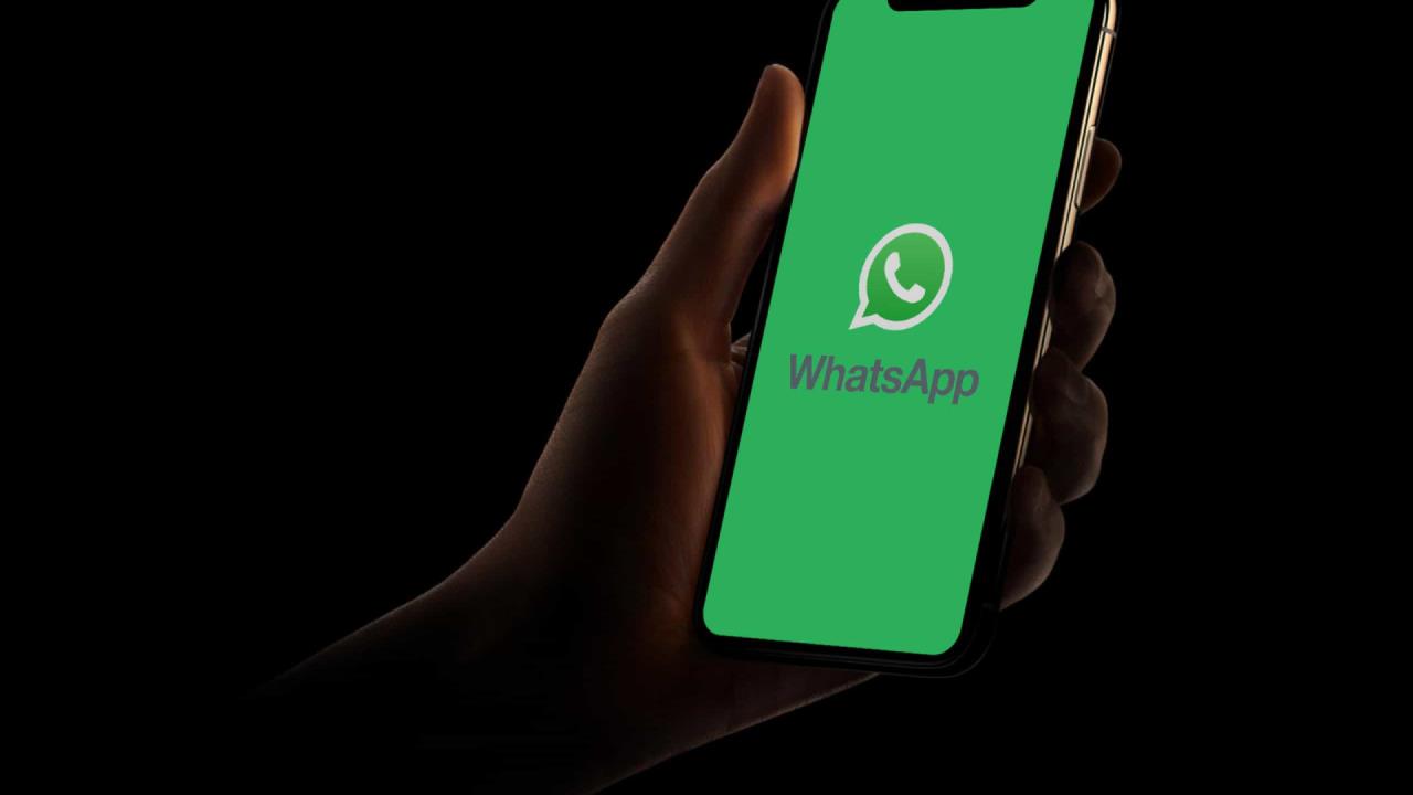 whatsapp, celular